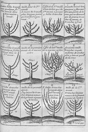 Los 259 - La Quintinie, Jean de - Instruction pour les jardins fruitiers et potagers - 0 - thumb