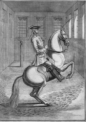 Los 262 - Reitzenstein, Wolf Ehrenfried von - Der vollkommene Pferde-Kenner - 0 - thumb