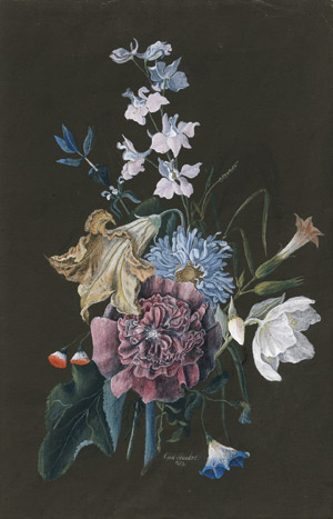 Los 6603 - Schulze, Carl - Blumenbouquet mit Lilie, Margerite und blauen Winden - 0 - thumb