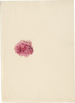 Lot 6253, Auction  114, Blaschek, Franz, Rosenblüte