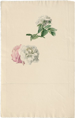 Lot 6254, Auction  114, Blaschek, Franz, Rosenblüten