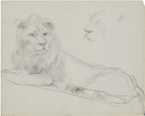 Lot 7200, Auction  121, Albert-Lasard, Lou, Zoostudien