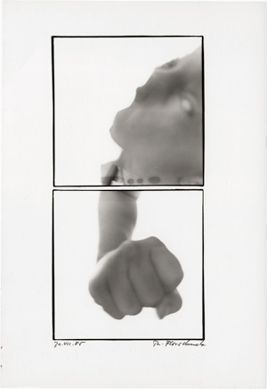 Lot 4136, Auction  122, Florschuetz, Thomas, Untitled. 21.VII.85 (diptych)