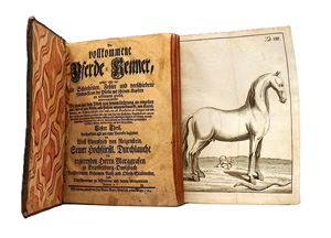 Los 383 - Reitzenstein, Wolf Ehrenfried von - Der vollkommene Pferde-Kenner. Uffenheim, Johann Simon Meyer, 1764. Erste Ausgabe - 0 - thumb