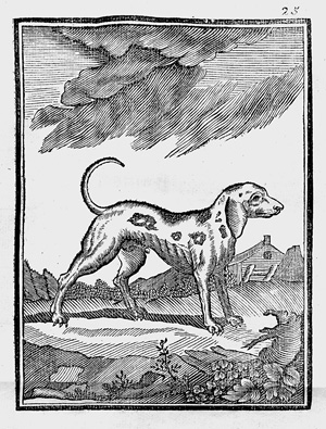 Los 389 - Le Verrier de la Conterie, Jean Baptiste Jacques - Venerie normande. Rouen, L. Dumesnil, 1778 - 0 - thumb