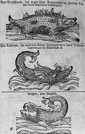 Los 426 - Maschenbauer, Joh. Andreas Erdmann - Der wohlversuchte Referendarius. Augsburg, Selbstverlag, 1750 - 0 - thumb