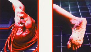 Los 3041 - Blume, Anna und Bernhard - Prinzip Grausamkeit. Eine Polaroidserie. Köln, W. König, 2002. - Signiert. 120 Exemplare - 0 - thumb
