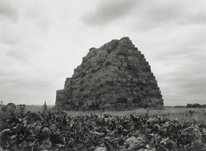 Lot 4101, Auction  125, Bury, Claus, Bauernarchitektur
