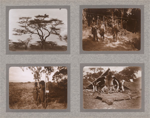 Los 4115 - Deutsch Ostafrika and Kenya - Views of Deutsch Ostafrika and Kenya - 2 - thumb