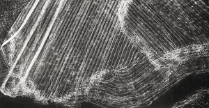 Lot 4153, Auction  125, Giacomelli, Mario, Untitled