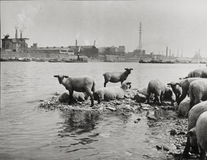 Lot 4187, Auction  125, Kilian, Hannes, Bei Duisburg