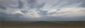 Lot 4284, Auction  125, Wenders, Wim, Near Gordon Downs, South Australia