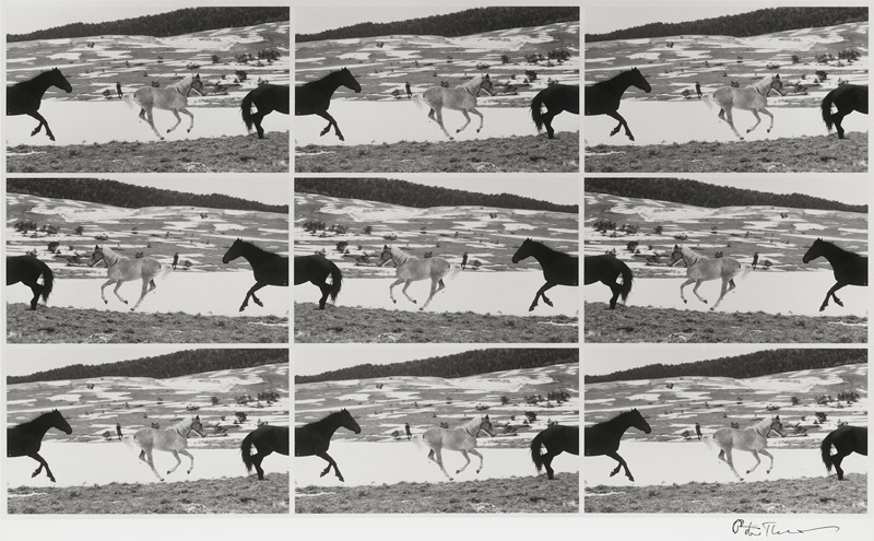 Lot 4273, Auction  125, Thomann, Peter, Bryor Mountain Wild Horse Ranch, Montana, USA 