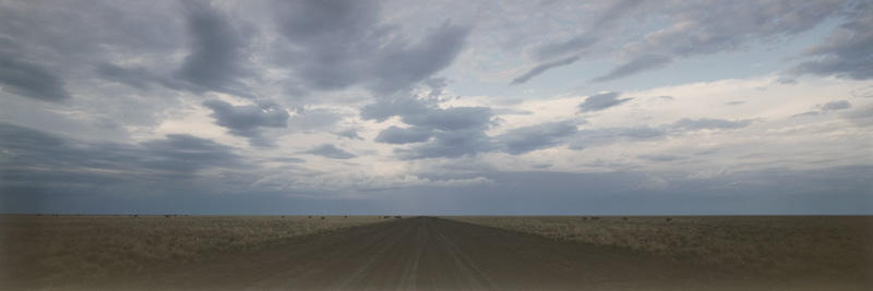 Lot 4284, Auction  125, Wenders, Wim, Near Gordon Downs, South Australia