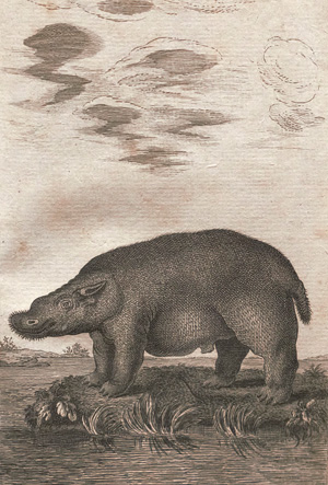 Lot 23, Auction  126, Sparrmann, Anders, Reise nach dem Vorgebirge