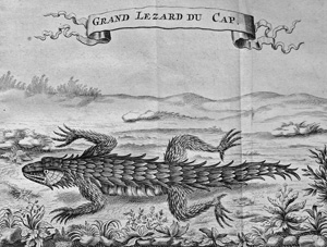 Los 62 - Tachard, Guy - Voyage de Siam. Amsterdam, Pierre Mortier, 1688 - 1 - thumb