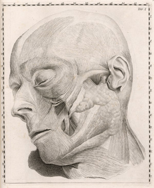 Los 323 - Santorini, Giovanni Domenico -  Septemdecim tabulae quas nun primum edit atque explicat  - 1 - thumb