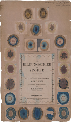 Runge, Friedrich Ferdinand, Der Bildungstrieb der Stoffe