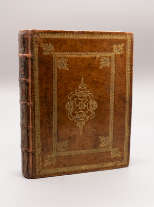 Los 374 - Merian, Maria Sibylla - Erucarum ortus - 5 - thumb