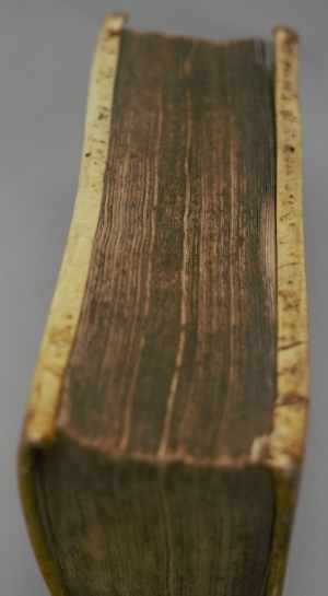 Los 393 - Hellwig, Christoph von - Allzeitfertiger Hauß-Verwalter - 5 - thumb