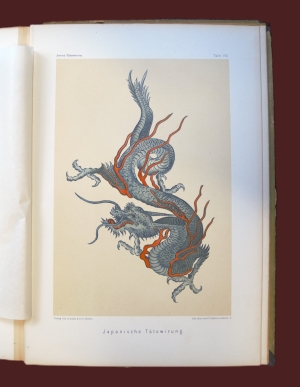 Los 444 - Joest, Wilhelm - Tätowiren, Narbenzeichnen und Körperbemalen - 12 - thumb