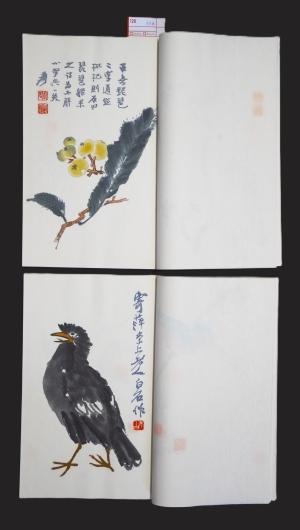 Los 666 - Qi Baishi - Rong Bao zhai xin ji shi jian pu. 2 chinesische Blockbücher  - 6 - thumb