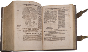 Lot 1111, Auction  126, Bock, Hieronymus, Kreütterbuch