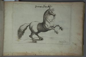 Los 1269 - Schmuck, Friedrich Wilhelm - Fasciculus admirandorum naturae - 5 - thumb