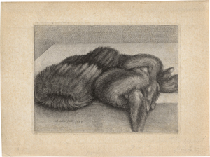 Lot 5137, Auction  126, Hollar, Wenzel, Gestreifter Muff und Pelzboa