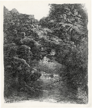 Los 5354 - Bresdin, Rodolphe - Le Gave - 0 - thumb