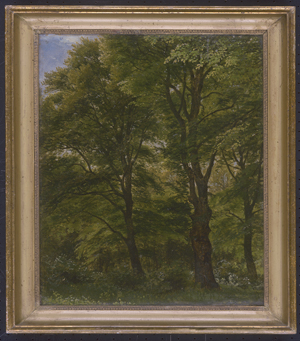 Los 6129 - Skovgaard, Peter Christian Thamsen - Bäume im Park von Charlottenlund. - 1 - thumb