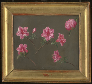 Los 6175 - Östereichisch - 19. Jh. Indische Azalee (Rhododendron simsii) - 1 - thumb