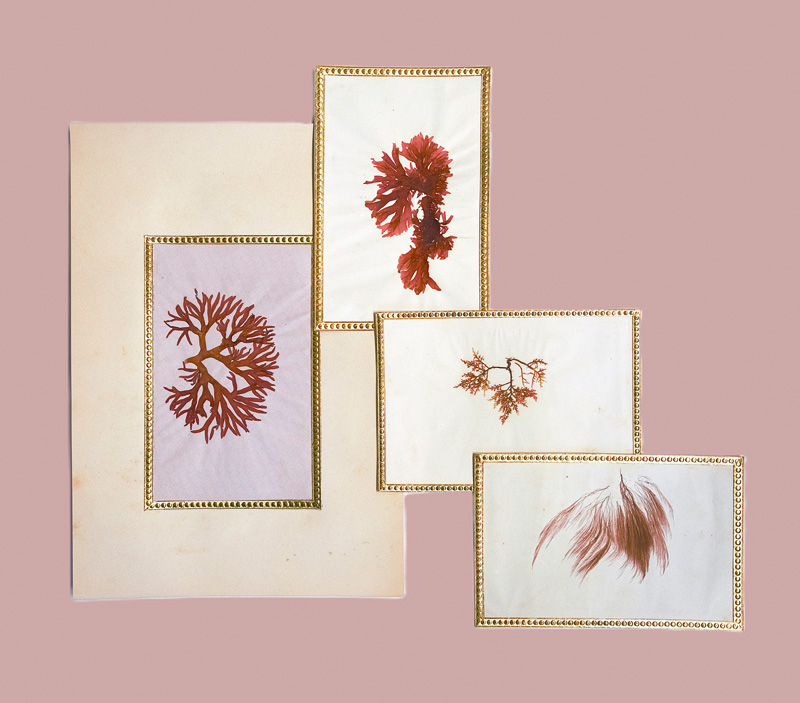 Lot 360, Auction 126, Algen-Album, zur Erinnerung an Venedig