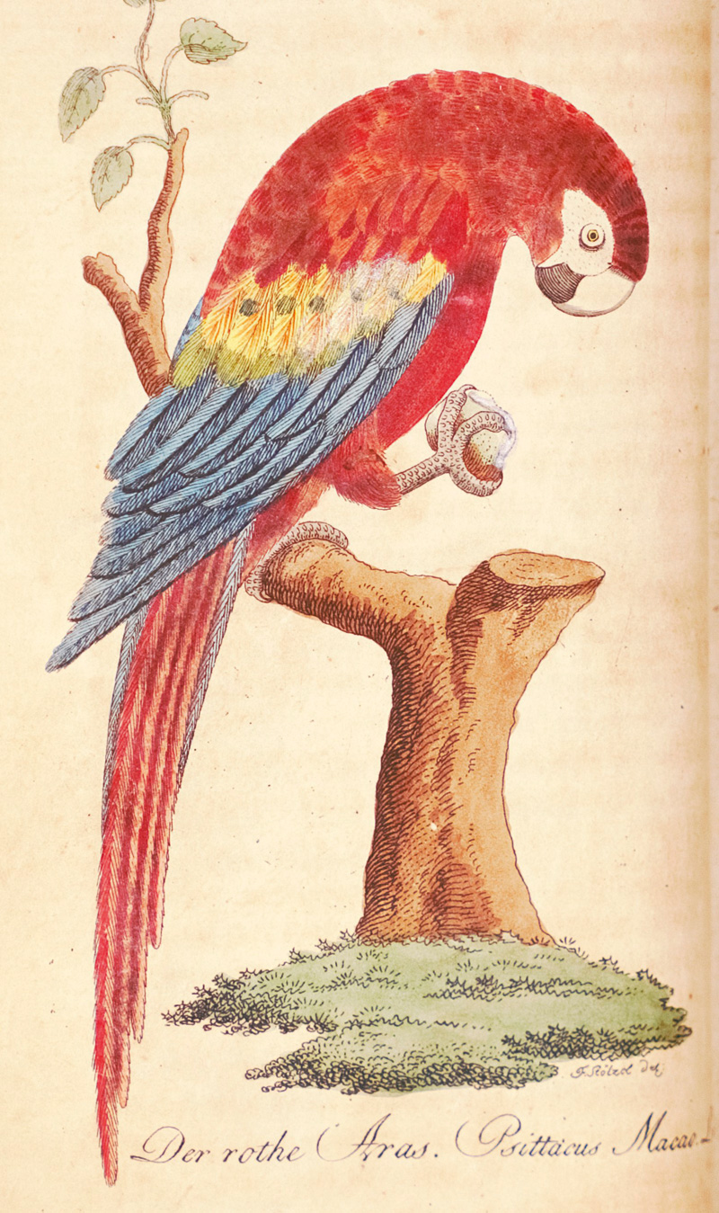 Lot 361, Auction 126, Bechstein, Johann Matthäus, Naturgeschichte der Stubenthiere. Vögel