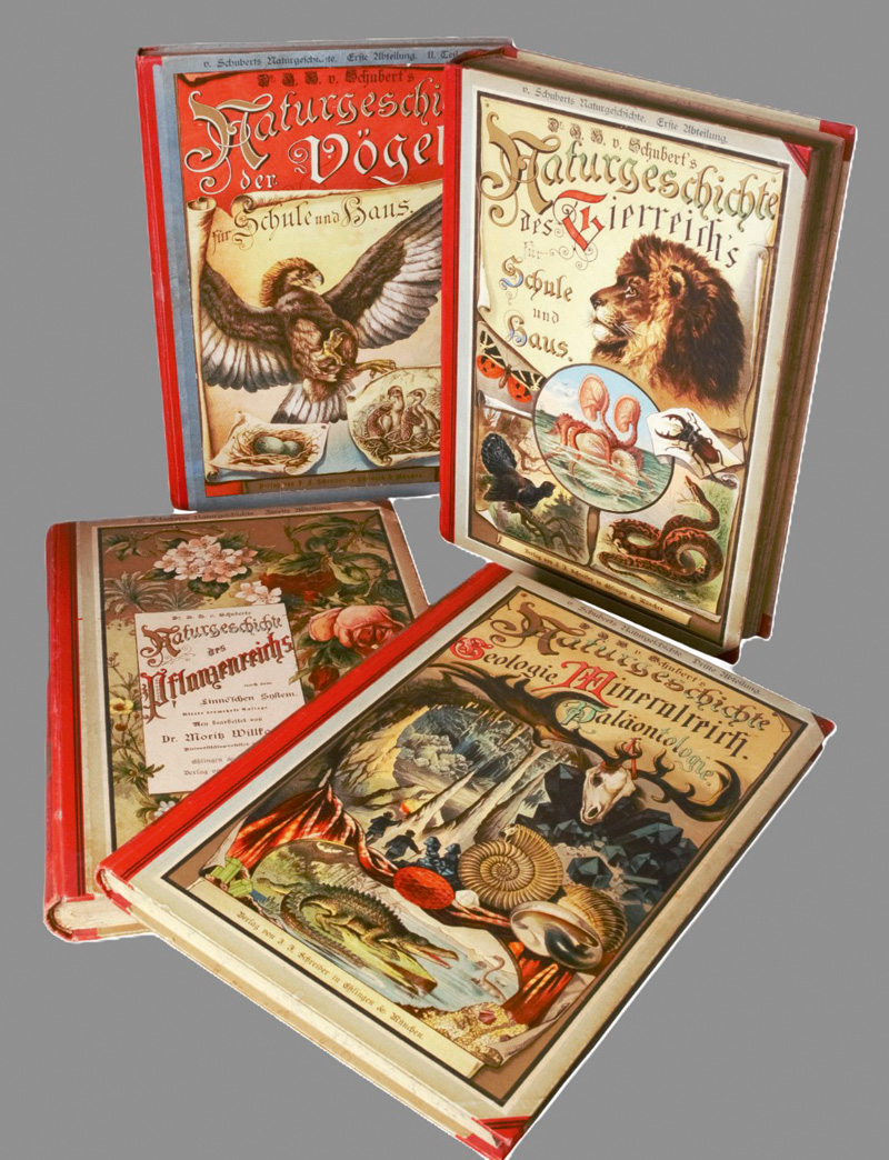 Lot 384, Auction 126, Schubert, G. H., Naturgeschichte des Tier-, Pflanzen- und Mineralreichs. 4 Bände der Reihe