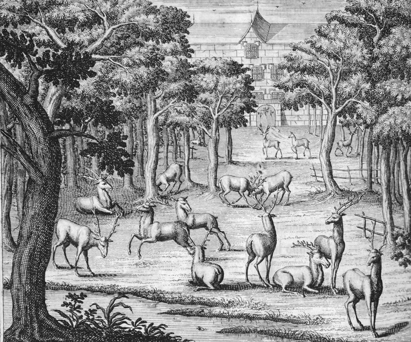 Lot 391, Auction 126, Florinus, Franz Philipp, Oeconomus prudens et legalis continuatus