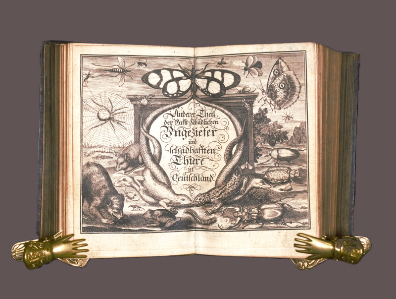 Lot 395, Auction 126, Krafft, Abraham Friedrich, Der sowohl Menschen und Viehe grausamen Thiere .. gäntzliche Ausrottung