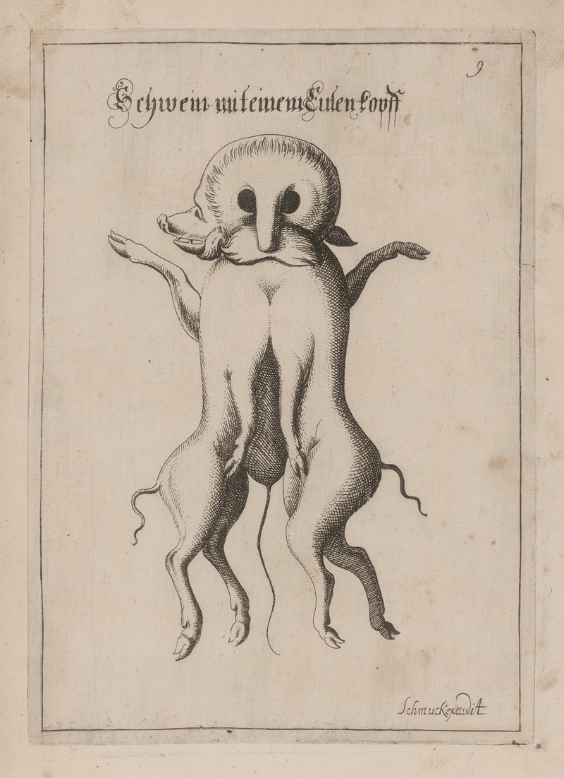 Lot 1269, Auction  126, Schmuck, Friedrich Wilhelm, Fasciculus admirandorum naturae