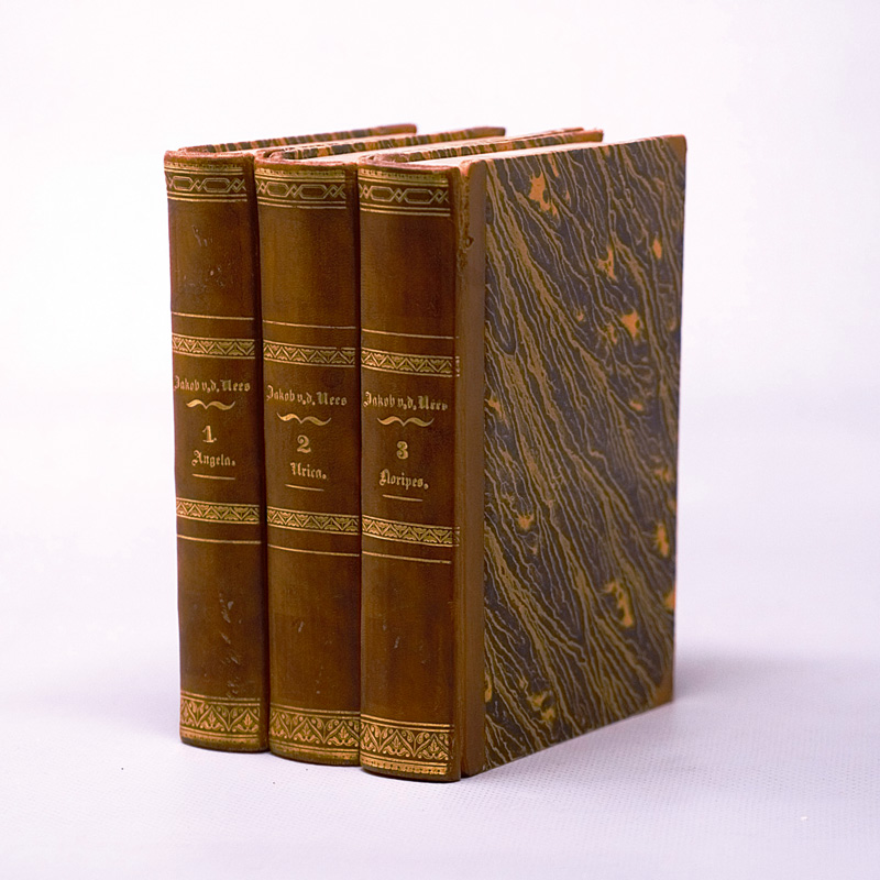 Lot 2085, Auction  126, Paalzow, Henriette, Jakob van der Nees