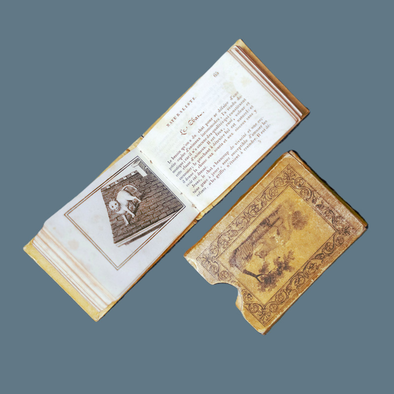 Lot 2135, Auction 126, Didot, Firmin, Le petit naturaliste