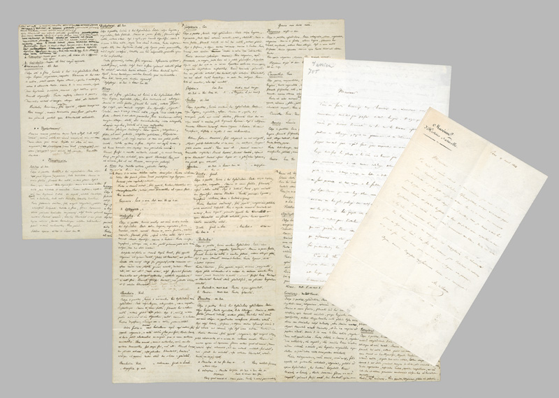 Lot 2560, Auction 126, Jussieu, Adrien de, 3 Briefe an Botaniker in Dresden und Wien. 1839-1844