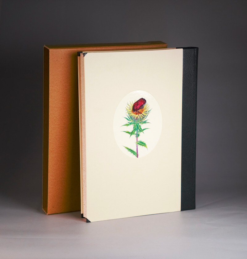 Lot 3248, Auction  126, Jünger, Ernst und Linsenmaier, Walter - Illustr., Subtile Jagden. Mit Illustrationen von W. Linsenmaier. OHalbleder. Stuttgart 1995. - 500 sign. Exemplare