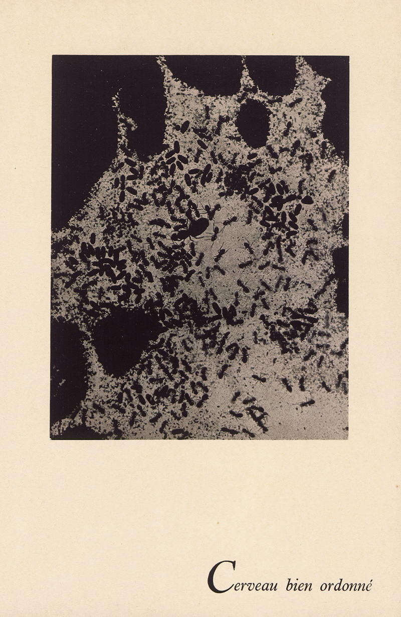 Lot 3430, Auction 126, Man Ray, La photographie n'est pas l'art. Paris 1937