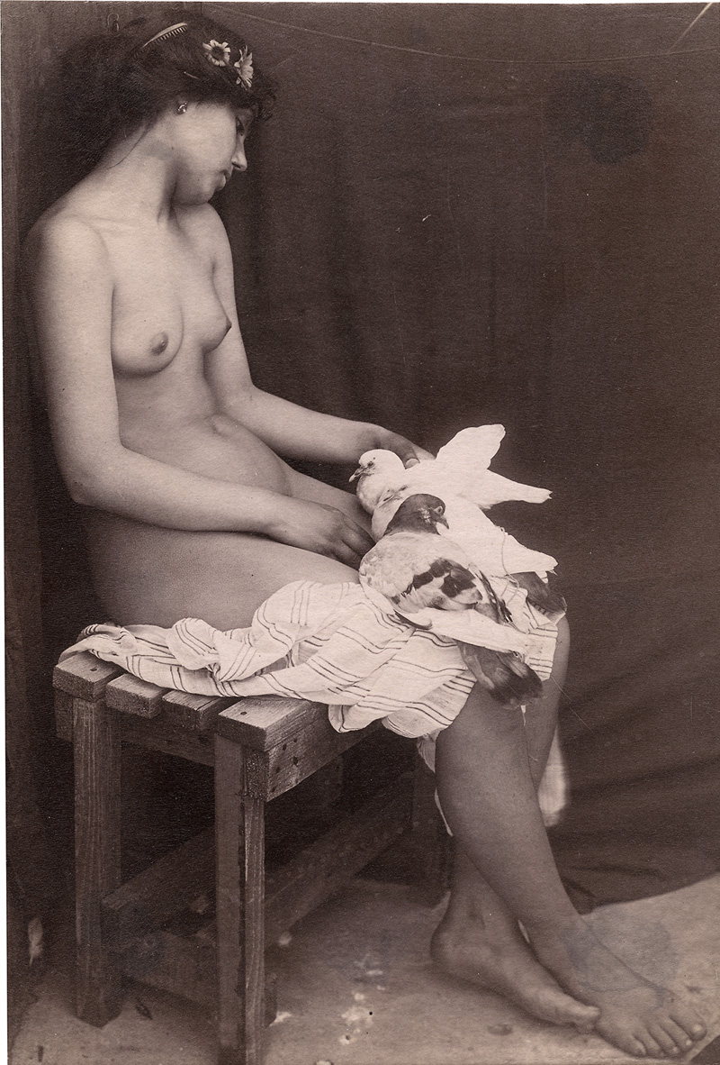 Lot 4040, Auction 126, Galdi, Vincenzo, Seated nude with doves