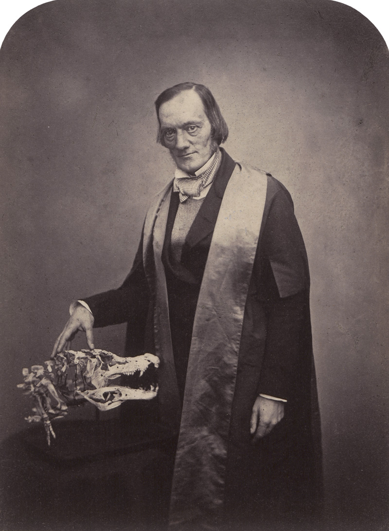 Lot 4068, Auction 126, Maull & Polyblank, Portraits of British public figures