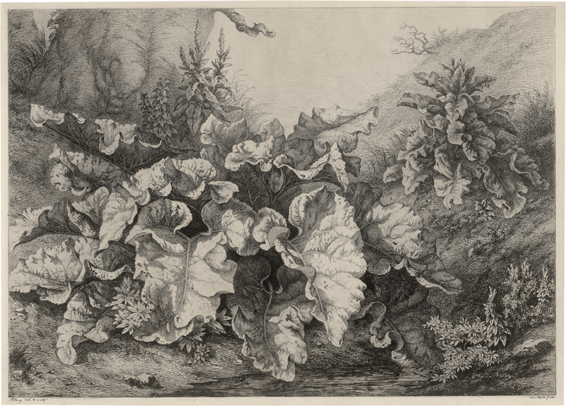 Lot 5352, Auction  126, Blery, Eugène, La Grande Bardane (Große Klette am Wasser)