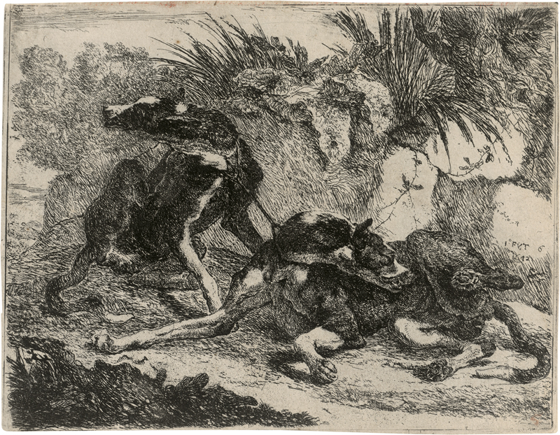 Lot 5554, Auction 126, Fyt, Jan, Drei Blatt mit Hunden