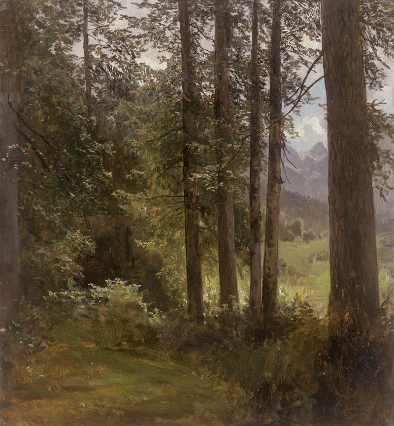 Lot 6106, Auction  126, Deutsch, um 1840. Kleine Waldpartie im Alpenvorland