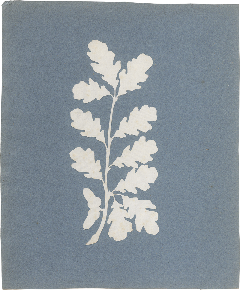 Lot 6640, Auction 126, Runge, Philipp Otto, Eichenzweig