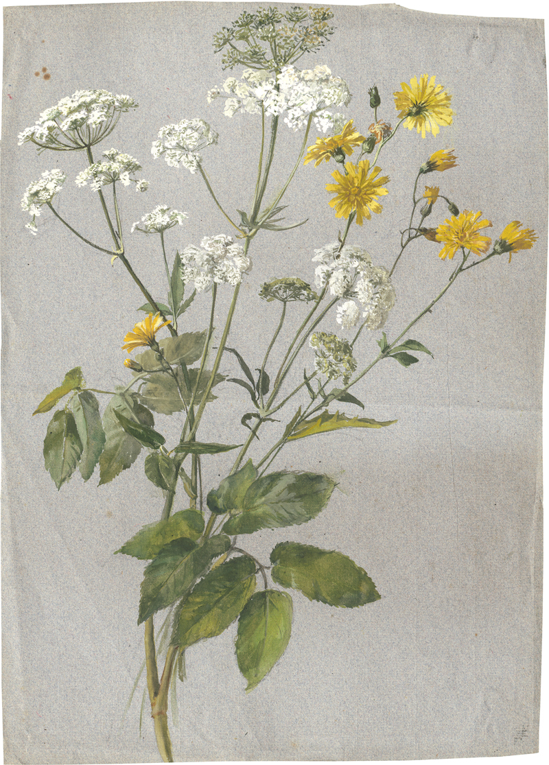 Lot 6681, Auction 126, Deutsch, um 1840. Wiesenblumenstrauß mit Schafgarbe und kleinem Habichtskraut